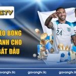cách đọc kèo bóng đá chuẩn