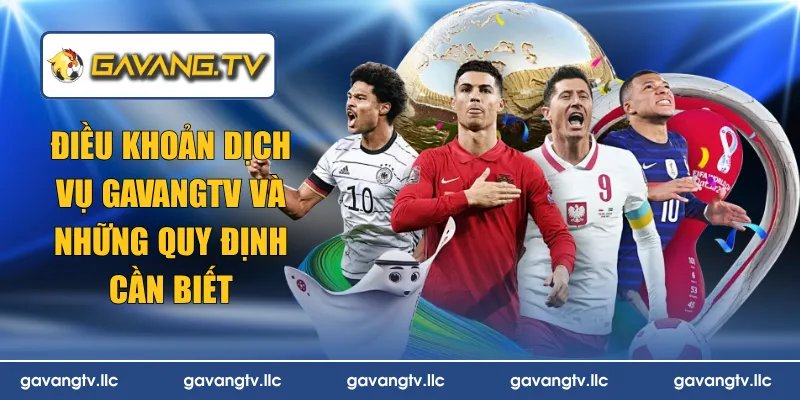điều khoản dịch vụ