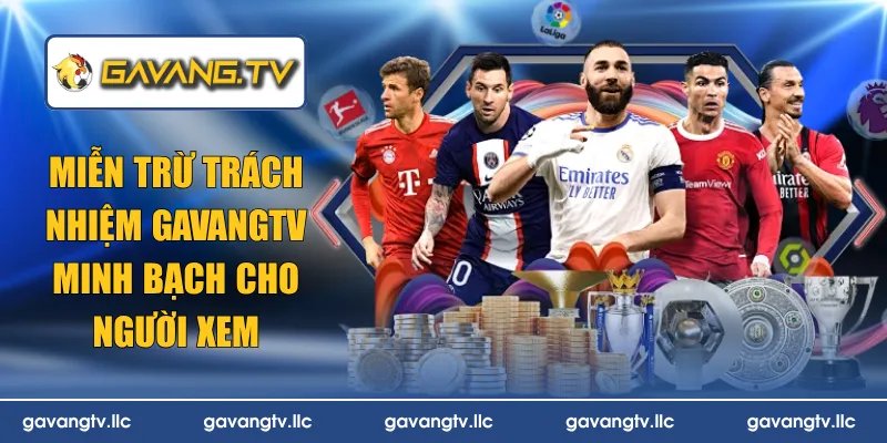 miễn trừ trách nhiệm