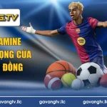 tiểu sử Lamine Yamal
